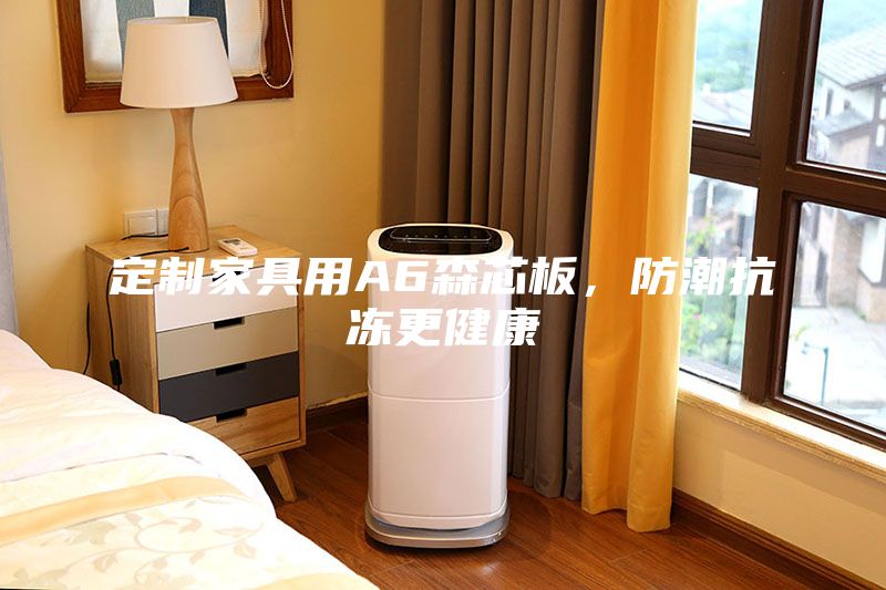 定制家具用A6森芯板，防潮抗冻更健康
