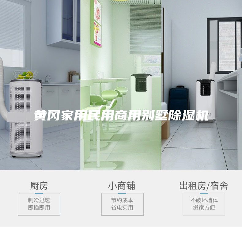 黄冈家用民用商用别墅除湿机