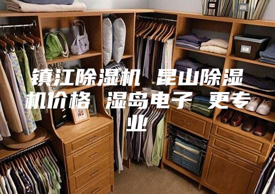 镇江除湿机 昆山除湿机价格 湿岛电子 更专业