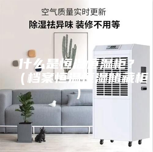 什么是恒温恒湿柜？（档案恒温恒湿储藏柜）