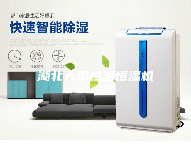 湖北大型恒温恒湿机
