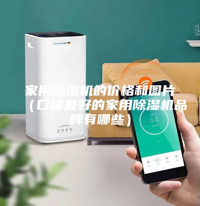 家用除湿机的价格和图片（口碑最好的家用除湿机品牌有哪些）