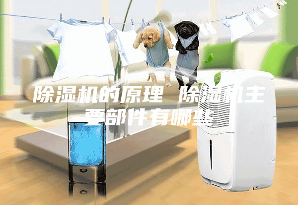 除湿机的原理 除湿机主要部件有哪些