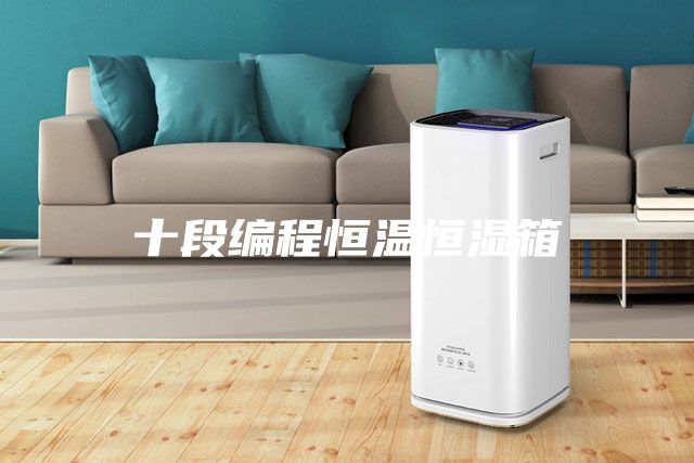 十段编程恒温恒湿箱