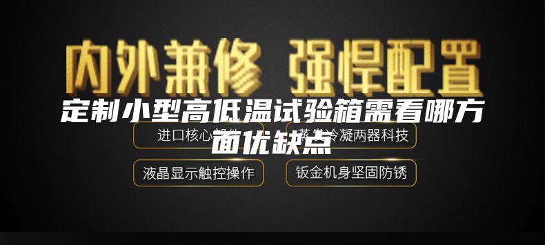 定制小型高低温试验箱需看哪方面优缺点