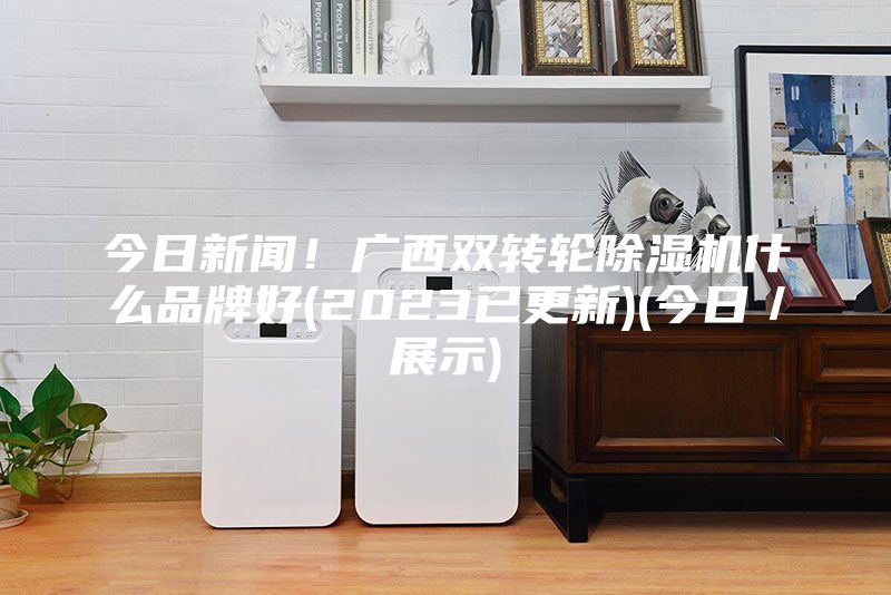 今日新闻！广西双转轮除湿机什么品牌好(2023已更新)(今日／展示)