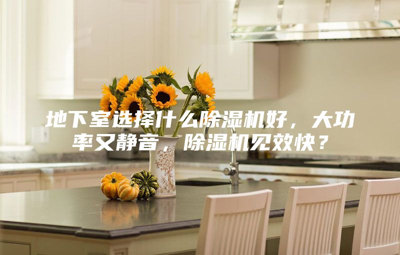 地下室选择什么除湿机好，大功率又静音，除湿机见效快？