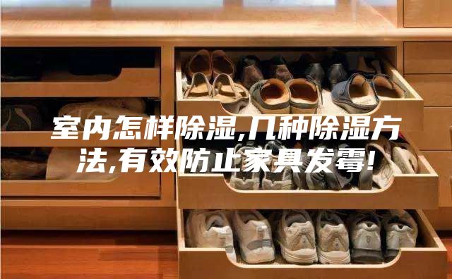 室内怎样除湿,几种除湿方法,有效防止家具发霉!