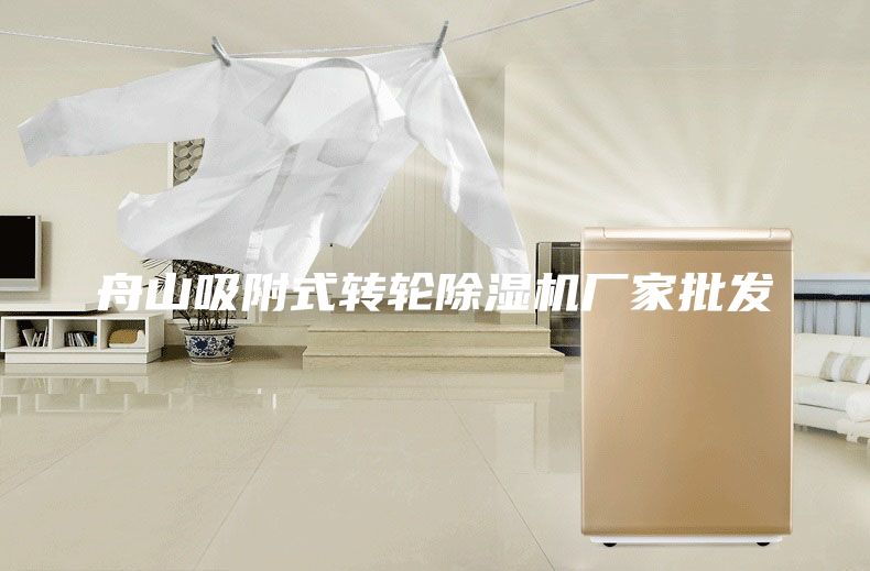 舟山吸附式转轮除湿机厂家批发