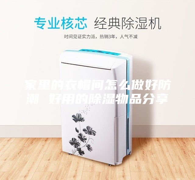 家里的衣帽间怎么做好防潮 好用的除湿物品分享