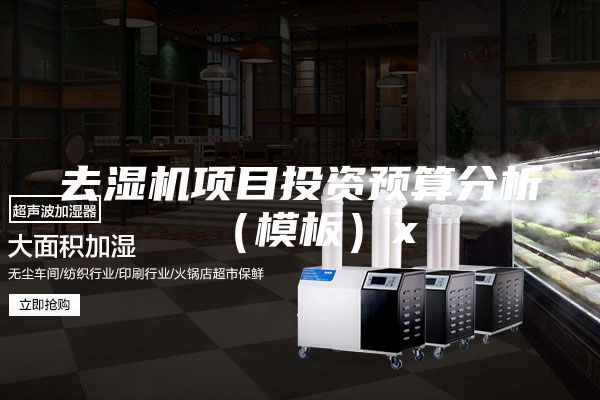 去湿机项目投资预算分析（模板）x