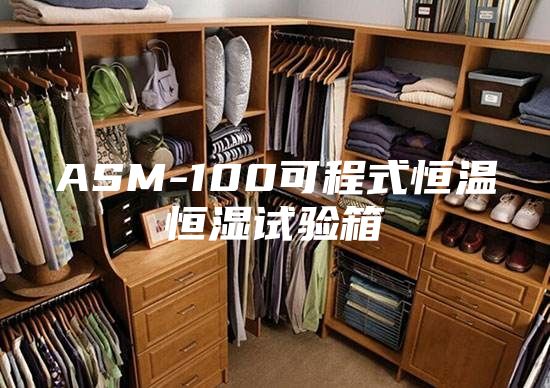 ASM-100可程式恒温恒湿试验箱