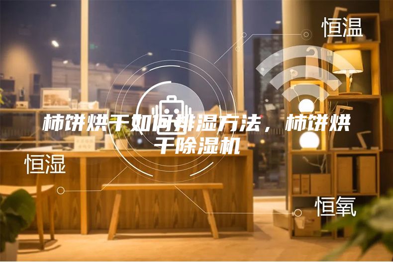 柿饼烘干如何排湿方法，柿饼烘干除湿机
