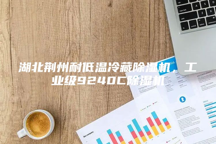 湖北荆州耐低温冷藏除湿机，工业级9240C除湿机