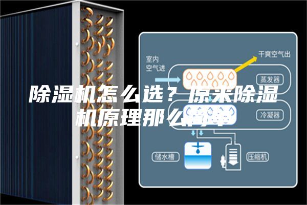 除湿机怎么选？原来除湿机原理那么简单