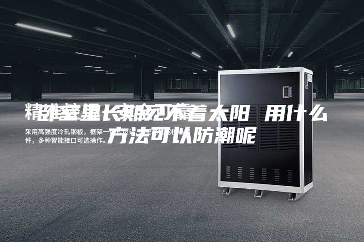 卧室里长期见不着太阳 用什么方法可以防潮呢