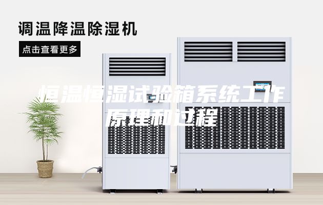 恒温恒湿试验箱系统工作原理和过程