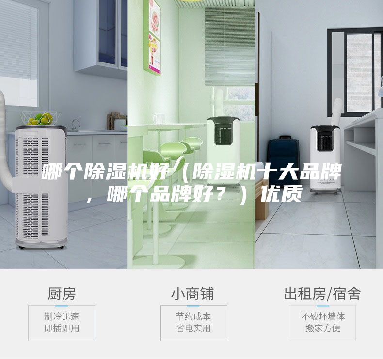 哪个除湿机好（除湿机十大品牌，哪个品牌好？）优质