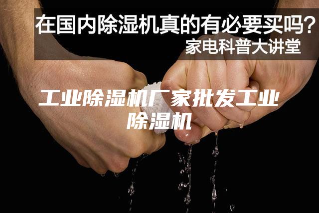 工业除湿机厂家批发工业除湿机