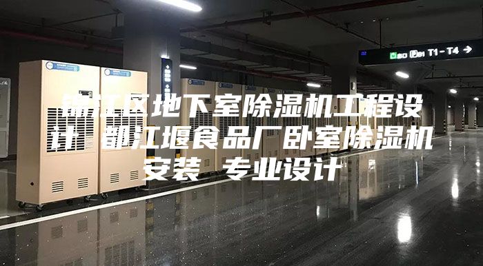 锦江区地下室除湿机工程设计 都江堰食品厂卧室除湿机安装 专业设计