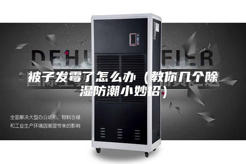 被子发霉了怎么办（教你几个除湿防潮小妙招）