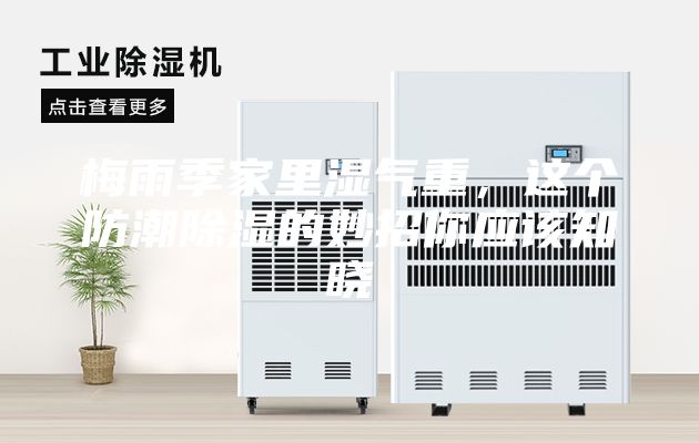 梅雨季家里湿气重，这个防潮除湿的妙招你应该知晓