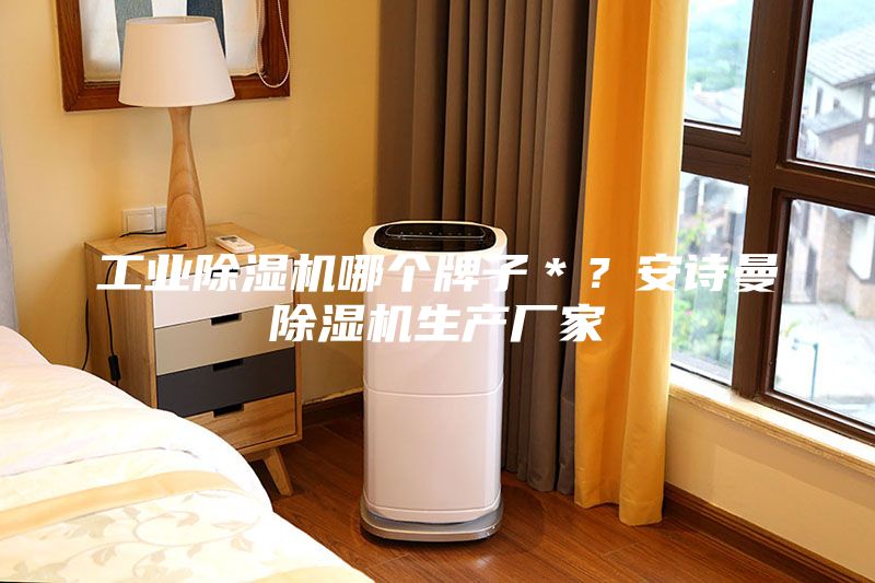 工业除湿机哪个牌子＊？安诗曼除湿机生产厂家