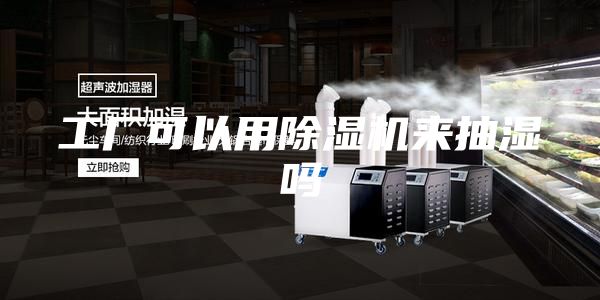 工厂可以用除湿机来抽湿吗