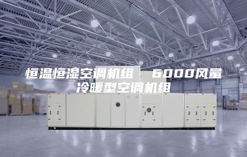 恒温恒湿空调机组  6000风量冷暖型空调机组