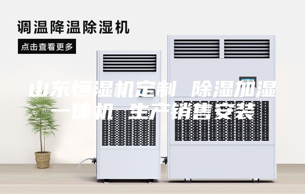 山东恒湿机定制 除湿加湿一体机 生产销售安装