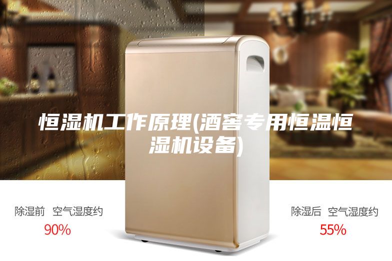 恒湿机工作原理(酒窖专用恒温恒湿机设备)