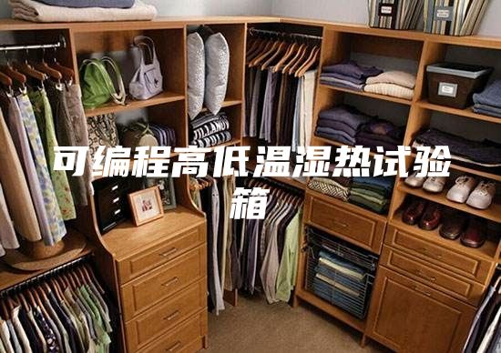 可编程高低温湿热试验箱