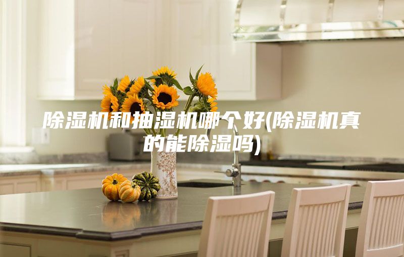 除湿机和抽湿机哪个好(除湿机真的能除湿吗)