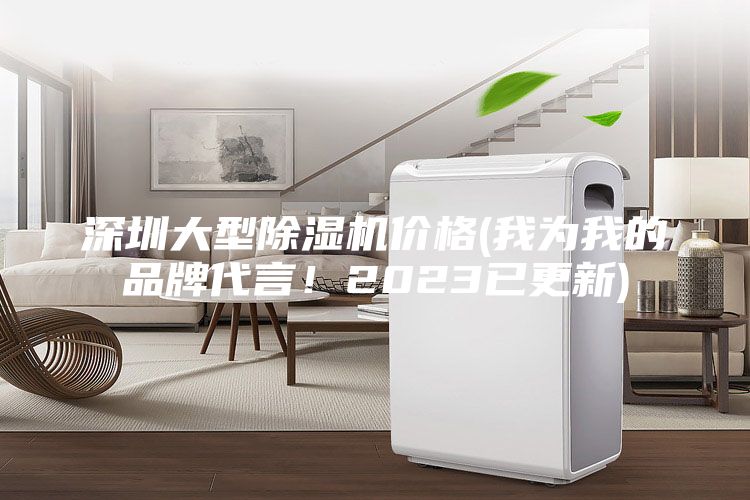 深圳大型除湿机价格(我为我的品牌代言！2023已更新)