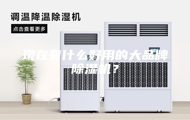 现在有什么好用的大品牌除湿机？