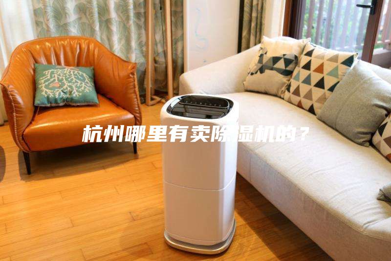 杭州哪里有卖除湿机的？