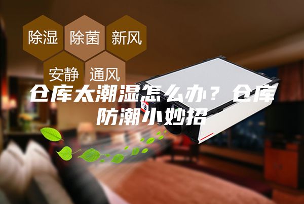 仓库太潮湿怎么办？仓库防潮小妙招