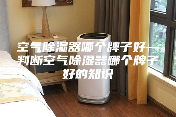 空气除湿器哪个牌子好—判断空气除湿器哪个牌子好的知识