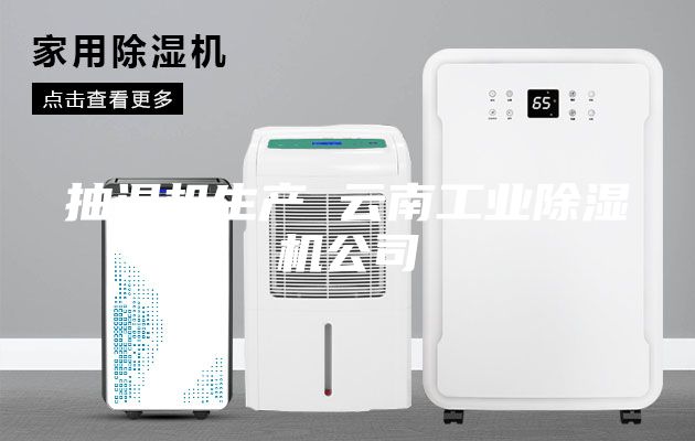 抽湿机生产 云南工业除湿机公司