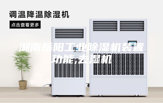 湖南岳阳工业除湿机装置功能,去湿机