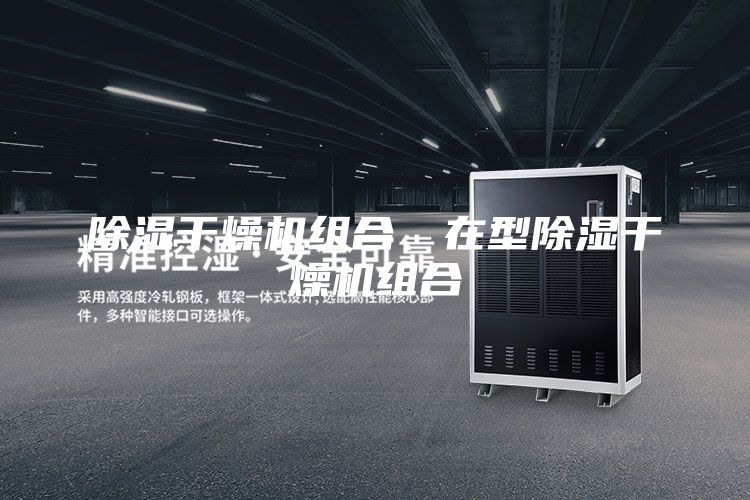 除湿干燥机组合、在型除湿干燥机组合