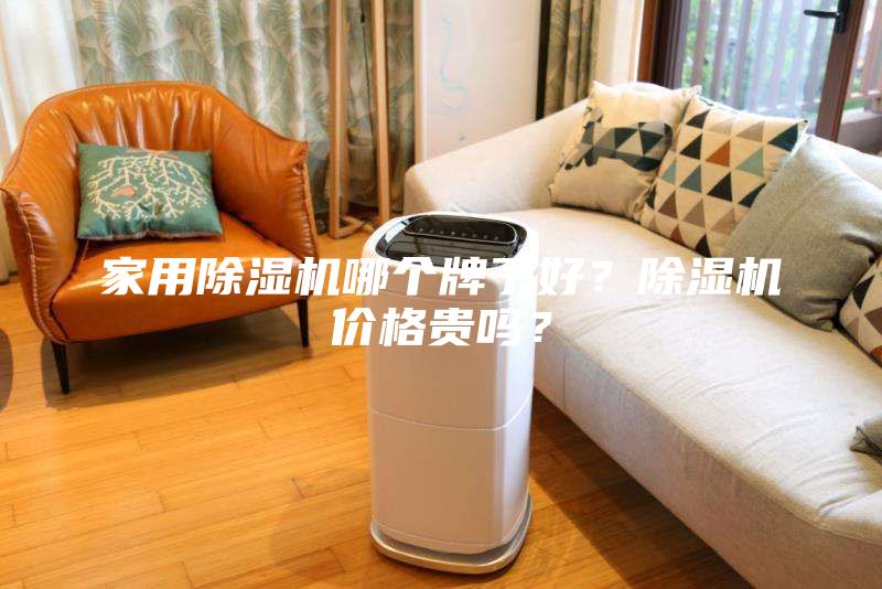 家用除湿机哪个牌子好？除湿机价格贵吗？