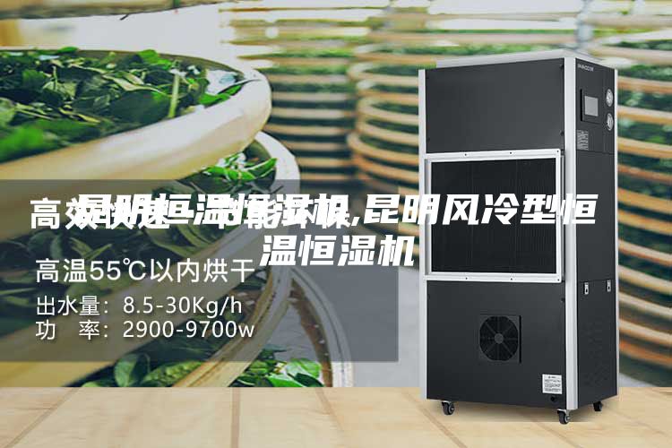 昆明恒温恒湿机,昆明风冷型恒温恒湿机