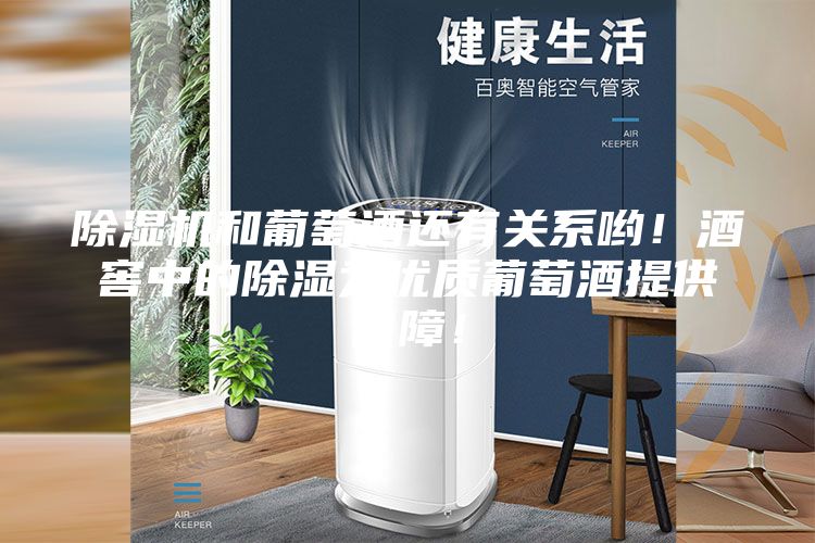 除湿机和葡萄酒还有关系哟！酒窖中的除湿为优质葡萄酒提供保障！
