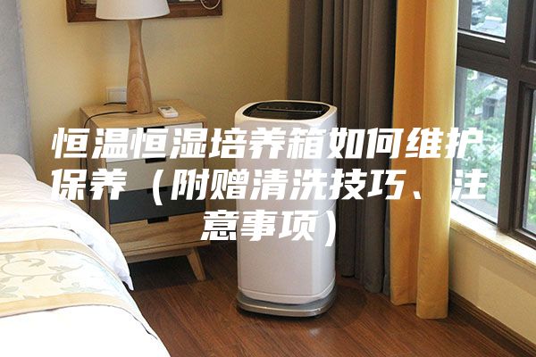 恒温恒湿培养箱如何维护保养（附赠清洗技巧、注意事项）