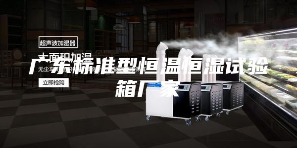 广东标准型恒温恒湿试验箱厂家