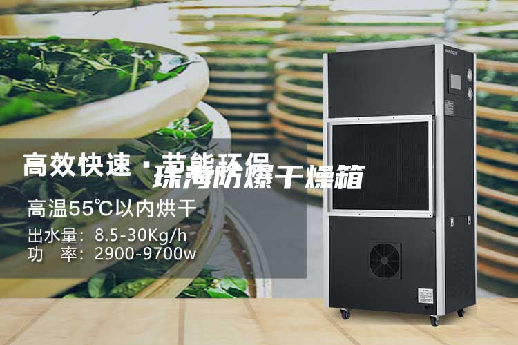 珠海防爆干燥箱