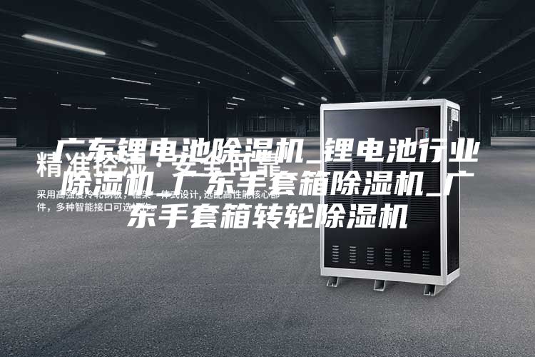 广东锂电池除湿机_锂电池行业除湿机_广东手套箱除湿机_广东手套箱转轮除湿机