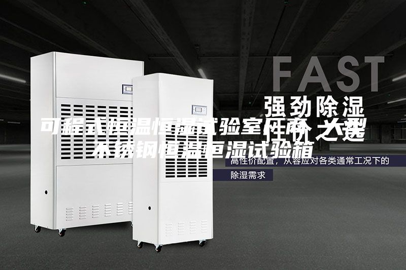 可程式恒温恒湿试验室厂商 大型不锈钢恒温恒湿试验箱