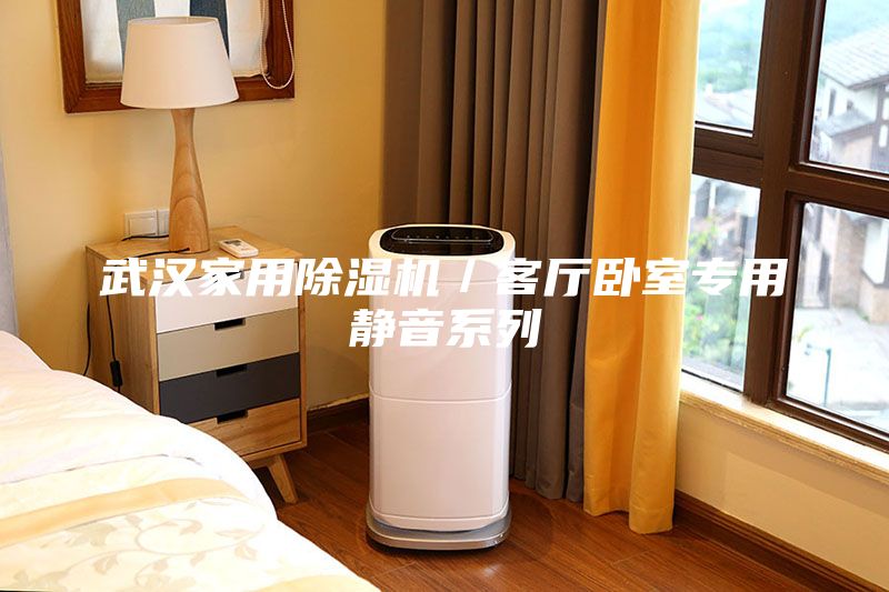 武汉家用除湿机／客厅卧室专用静音系列